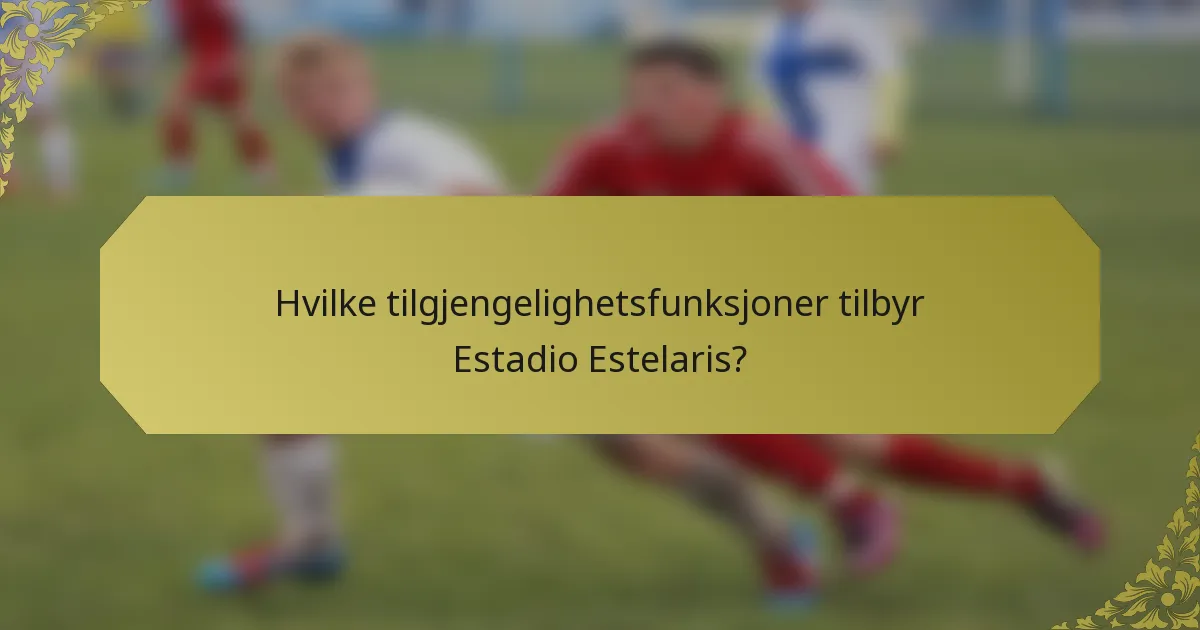 Hvilke tilgjengelighetsfunksjoner tilbyr Estadio Estelaris?